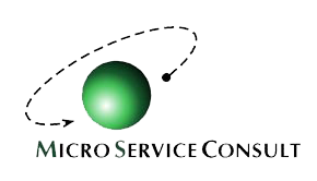 Micro Service Consult